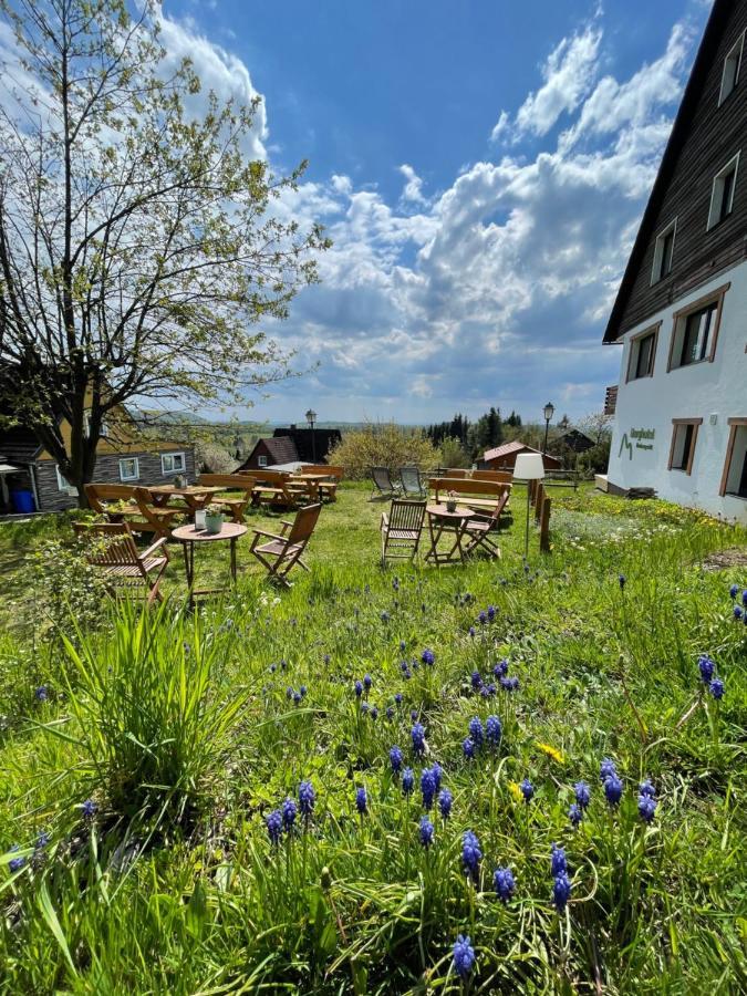 Berghotel Hohegeiß Eksteriør bilde